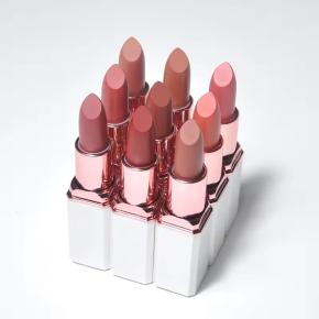 Cosmetics OEM/ODM Private Label Vegan Waterproof Long Lasting Matte Lipstick